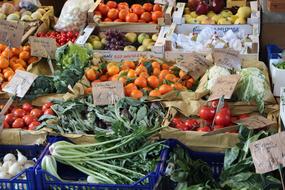 Different vegetables in boxes on sale