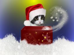 Cat Christmas Snow