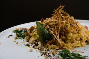 tasty basil salad