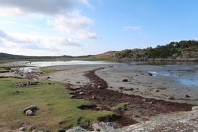 Beach Seaweed Sea