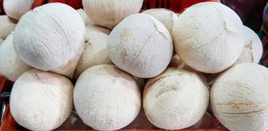 White healthy coconut