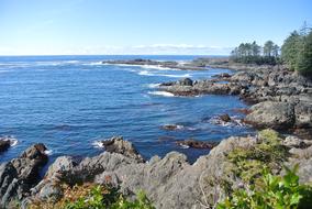 Ocean Pacific Sea