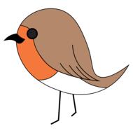 robin bird vector animal feather