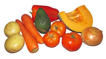 Many different vegetables on a white background