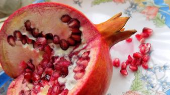 cut pomegranate on the table