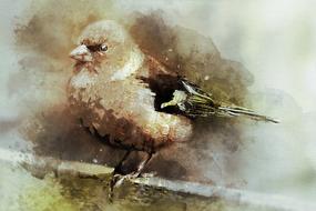 paint a picture of a bird