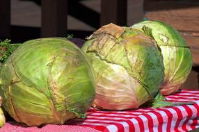 Delicious ripe cabbage on the table