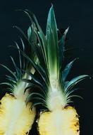 half a pineapple on a black background