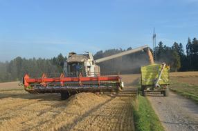 grain extraction in the field