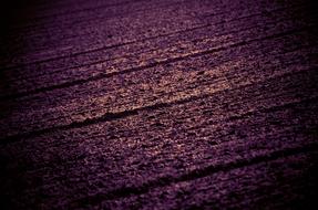Field Acreage Abstract Digital