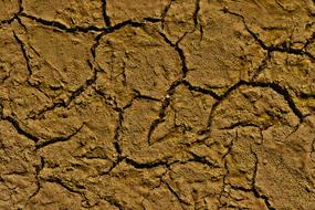 Dry Ground Cracks