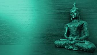 buddha green background view