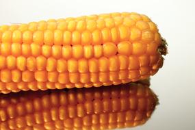 boiled delicious corn