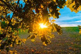 Sunset Sun Landscape