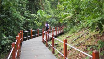 Park Tourism Tourist