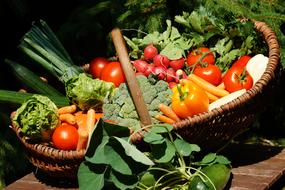 Lots of tasty vegetables in the basket