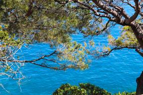 Beach The City Monaco French