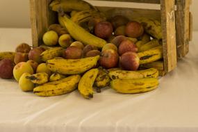 bunch of bananas and apples