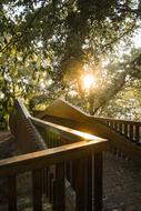 Bridge Sun Sunset
