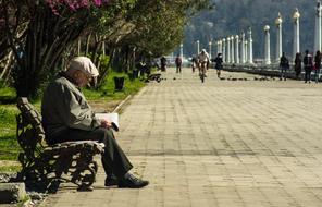 Old man in cap, reading a book in the beautiful park with colorful plants