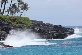Tropical Beach Waves