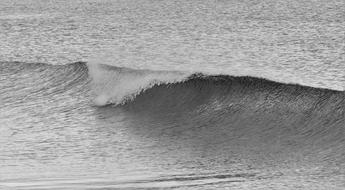 Wave Black White