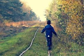 Child on Rails in Forest