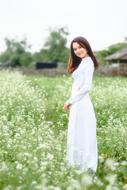 Girl in white long coat, posing among the beautiful white flowers in Hanoi, Vietnam