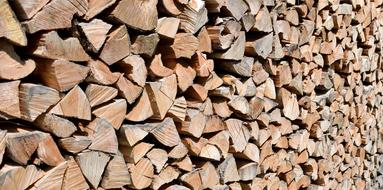 Wood Background Log