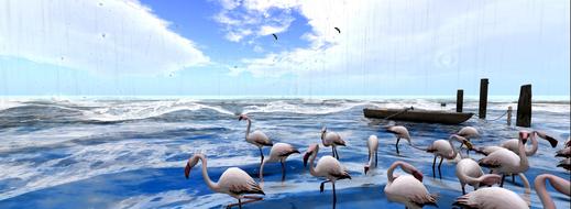 water ocean wave sky