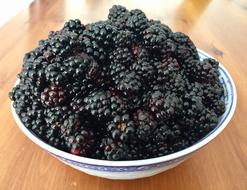 Sweet ripe berries in a plate