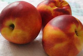 ripe peaches on the table