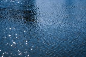 Texture Water
