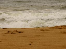 Beach Sea