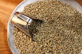 ripe coffee beans in a bowl