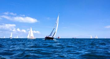 Sailing Race Boat