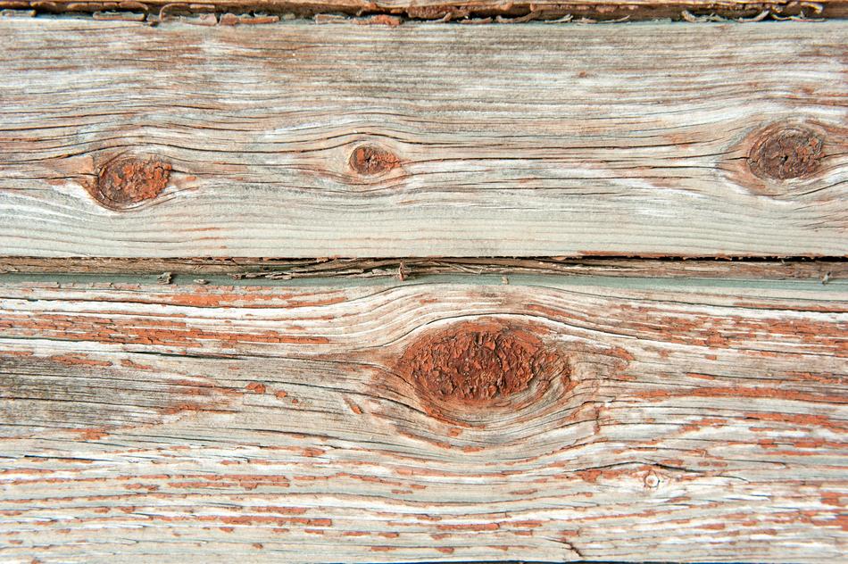 Old Tree Orange Boards