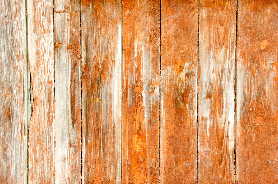 Old Tree Orange Boards