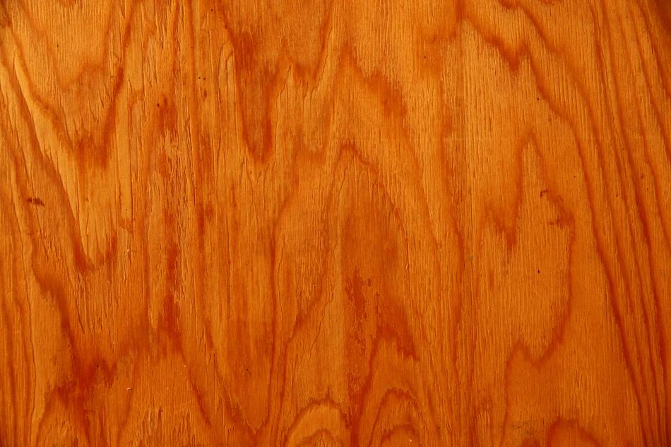 Tree Texture Background