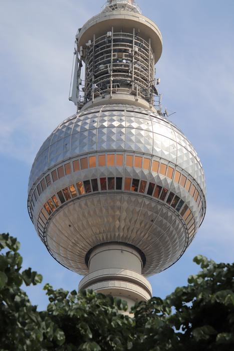 Tv Tower Leaves Tree
