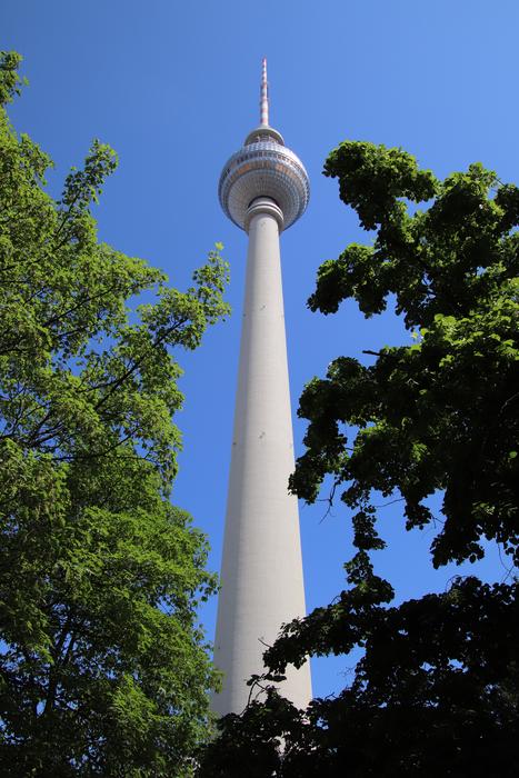 Tv Tower Leaves Tree