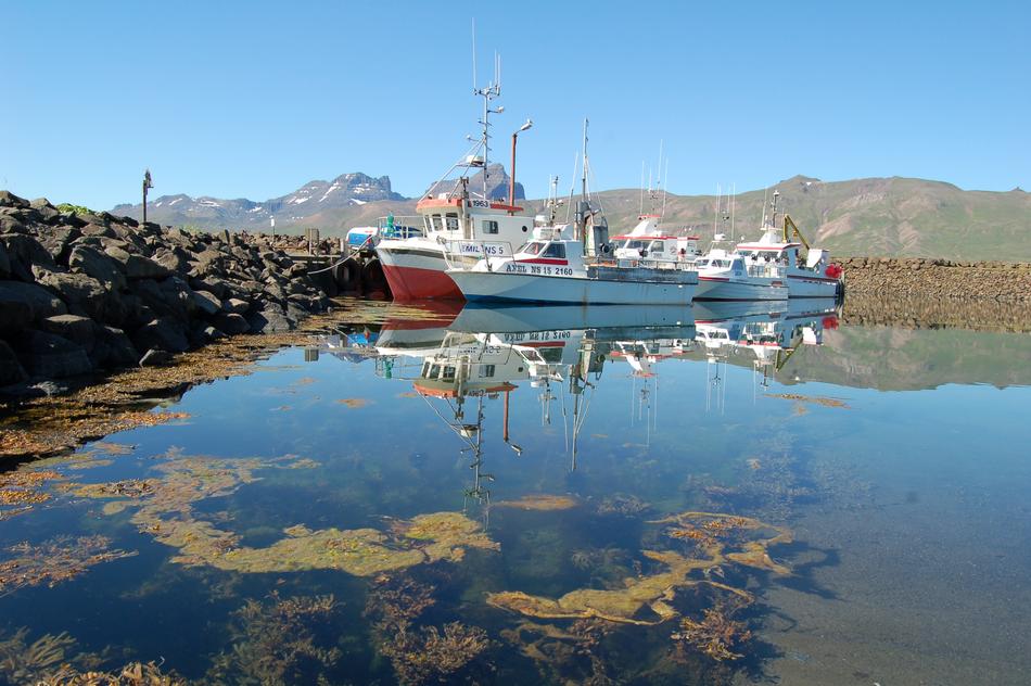 Iceland Travel Harbour