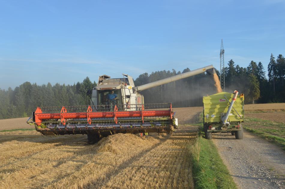 grain extraction in the field