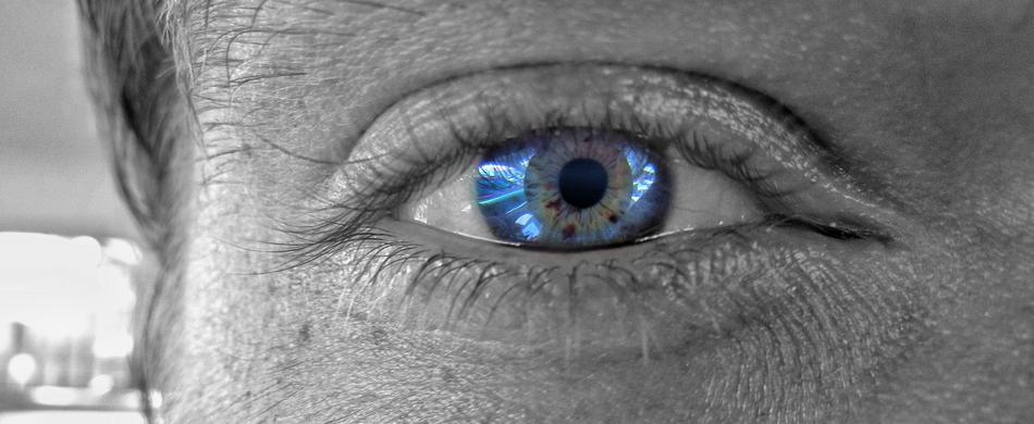 Eyeball Eyelash Vision
