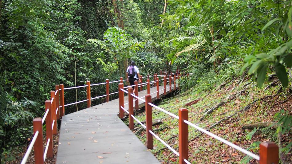Park Tourism Tourist