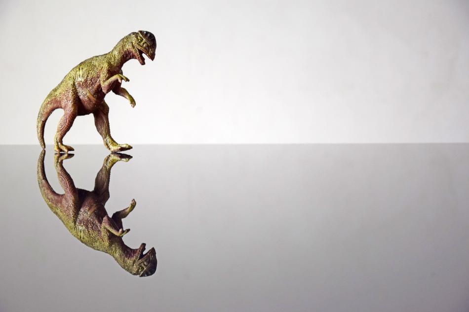 Dinosaur Mockup Background