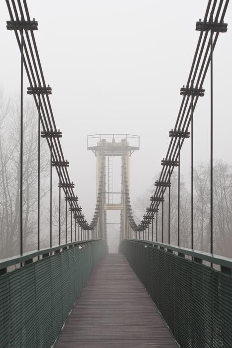 Bridge Footbridge Transition