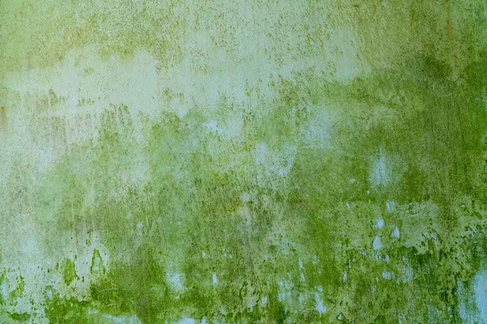 Texture Background