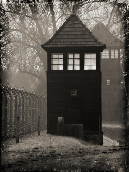 Auschwitz Camp Concentration