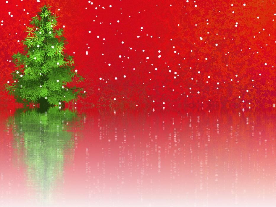 Christmas Fir Tree